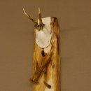 Schlüsselbrett Geweih Rehstange handgefertigt Schlüssel Unikat 5 Spitzen Haken Rehgeweih 27.8.118