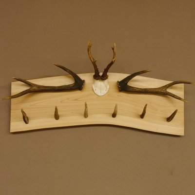 Geweih Garderobe mit 6 Spitzen Haken auf Holzbrett 2x Stangen Wandgarderobe Unikat 27.8.119