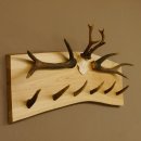 Geweih Garderobe mit 6 Spitzen Haken auf Holzbrett 2x...