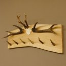 Geweih Garderobe mit 6 Spitzen Haken auf Holzbrett 2x Stangen Wandgarderobe Unikat 27.8.119