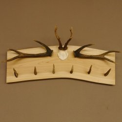 Geweih Garderobe mit 6 Spitzen Haken auf Holzbrett 2x Stangen Wandgarderobe Unikat 27.8.119