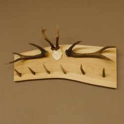 Geweih Garderobe mit 6 Spitzen Haken auf Holzbrett 2x Stangen Wandgarderobe Unikat 27.8.119