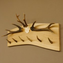 Geweih Garderobe mit 6 Spitzen Haken auf Holzbrett 2x Stangen Wandgarderobe Unikat 27.8.119