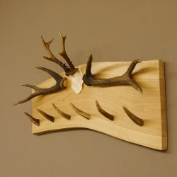 Geweih Garderobe mit 6 Spitzen Haken auf Holzbrett 2x Stangen Wandgarderobe Unikat 27.8.119