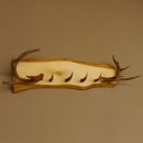 Geweih Garderobe mit 4 Spitzen Haken auf Holzbrett 2x Stangen Wandgarderobe Unikat 27.8.120