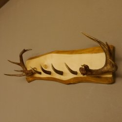 Geweih Garderobe mit 4 Spitzen Haken auf Holzbrett 2x Stangen Wandgarderobe Unikat 27.8.120