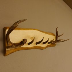 Geweih Garderobe mit 4 Spitzen Haken auf Holzbrett 2x Stangen Wandgarderobe Unikat 27.8.120