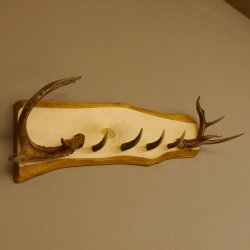 Geweih Garderobe mit 4 Spitzen Haken auf Holzbrett 2x Stangen Wandgarderobe Unikat 27.8.120