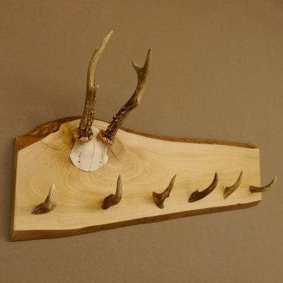 Geweih Garderobe mit 6 Spitzen Haken auf Holzbrett Rehgeweih Wandgarderobe Unikat 27.8.121