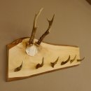 Geweih Garderobe mit 6 Spitzen Haken auf Holzbrett Rehgeweih Wandgarderobe Unikat 27.8.121
