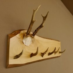 Geweih Garderobe mit 6 Spitzen Haken auf Holzbrett Rehgeweih Wandgarderobe Unikat 27.8.121