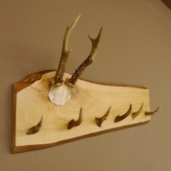 Geweih Garderobe mit 6 Spitzen Haken auf Holzbrett Rehgeweih Wandgarderobe Unikat 27.8.121
