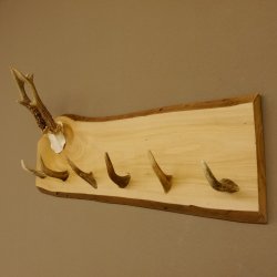 Geweih Garderobe mit 6 Spitzen Haken auf Holzbrett Rehgeweih Wandgarderobe Unikat 27.8.121
