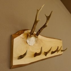 Geweih Garderobe mit 6 Spitzen Haken auf Holzbrett Rehgeweih Wandgarderobe Unikat 27.8.121