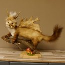 Wolpertinger Marder mit Darmhirsch Stange Wolpi...