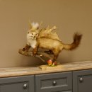 Wolpertinger Marder mit Darmhirsch Stange Wolpi...