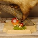 Wolpertinger Marder mit Darmhirsch Stange Wolpi Präparat Rehgeweih und Zähnen Höhe 47 cm 86.10.19