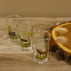 Schnaps Anbieter auf Akazieschild Schnapsbrett H18 cm Rothirsch Stange Griff mit 6 Stück Gläser bunt hoch Jagdmotiv Tier Motiv 27.7.3.10