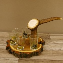 Schnaps Anbieter auf Akazieschild Schnapsbrett H18 cm Rothirsch Stange Griff mit 6 Stück Gläser bunt hoch Jagdmotiv Tier Motiv 27.7.3.10