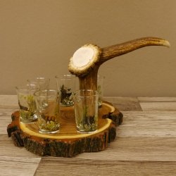Schnaps Anbieter auf Akazieschild Schnapsbrett H18 cm Rothirsch Stange Griff mit 6 Stück Gläser bunt hoch Jagdmotiv Tier Motiv 27.7.3.10