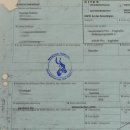 Löwenschädel Trophäe Schädel mit Genehmigung zum Verkauf 62.100.35