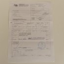 Bärenpavian Baboon Schädel Affe Länge 22 cm Pavian mit Herkunftsnachweis