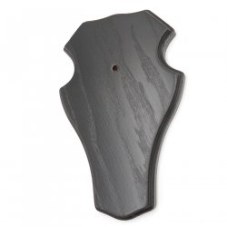 1 Stück Reh Bock Schild Trophäenschild groß mit 1 Kieferfach in Eiche dunkel AF 21 x 13 cm