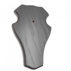 1 Stück Reh Bock Schild Trophäenschild groß mit 1 Kieferfach in Eiche dunkel AF 21 x 13 cm