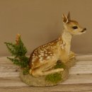 Rehkitz Präparat liegend Breite 34 cm Bambi Reh Kitz Tierpräparat 89.11.75