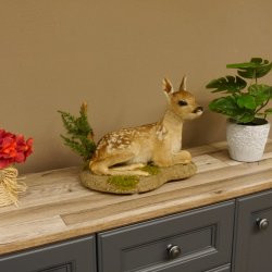 Rehkitz Präparat liegend Breite 34 cm Bambi Reh Kitz Tierpräparat 89.11.75