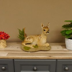 Rehkitz Präparat liegend Breite 34 cm Bambi Reh Kitz Tierpräparat 89.11.75