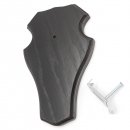 1 Stück Reh Bock Schild Trophäenschild groß mit 1 Kieferfach in Eiche dunkel mit 1 Stück Gehörnklammern AF 21 x 13 cm