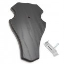 1 Stück Reh Bock Schild Trophäenschild groß mit 1 Kieferfach in Eiche dunkel mit 1 Stück Gehörnklammern AF 21 x 13 cm