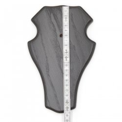 1 Stück Reh Bock Schild Trophäenschild groß mit 1 Kieferfach in Eiche dunkel mit 1 Stück Gehörnklammern AF 21 x 13 cm