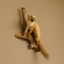 Steinmarder Marder auf Ast offener Fang Präparat Deko Tierpräparat 89.5.226