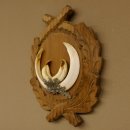 Wildschweinwaffen (Sus scrofa) Keilerwaffen max. 17,5 cm Trophäe Keiler Gewaff Trophäenschild