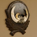 Wildschweinwaffen (Sus scrofa) Keilerwaffen max. 19,7 cm Trophäe Keiler Gewaff Trophäenschild