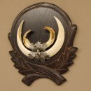 Wildschweinwaffen (Sus scrofa) Keilerwaffen max. 20 cm Note 1, Trophäe Keiler Gewaff Trophäenschild