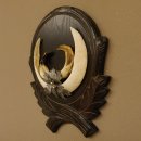 Wildschweinwaffen (Sus scrofa) Keilerwaffen max. 20 cm Note 1, Trophäe Keiler Gewaff Trophäenschild