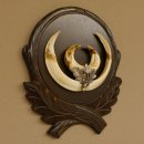 Wildschweinwaffen (Sus scrofa) Keilerwaffen max. 19,6 cm Note 2, Trophäe Keiler Gewaff Trophäenschild