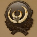 Wildschweinwaffen (Sus scrofa) Keilerwaffen max. 19,6 cm Note 2, Trophäe Keiler Gewaff Trophäenschild