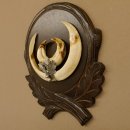 Wildschweinwaffen (Sus scrofa) Keilerwaffen max. 19,6 cm Note 2, Trophäe Keiler Gewaff Trophäenschild