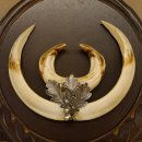 Wildschweinwaffen (Sus scrofa) Keilerwaffen max. 19,6 cm Note 2, Trophäe Keiler Gewaff Trophäenschild