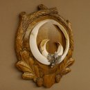 Wildschweinwaffen (Sus scrofa) Keilerwaffen max. 22 cm Note 1, Trophäe Keiler Gewaff Trophäenschild