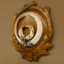 Wildschweinwaffen (Sus scrofa) Keilerwaffen max. 22,9 cm Note 1, Trophäe Keiler Gewaff Trophäenschild