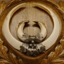 Wildschweinwaffen (Sus scrofa) Keilerwaffen max. 22,9 cm Note 1, Trophäe Keiler Gewaff Trophäenschild