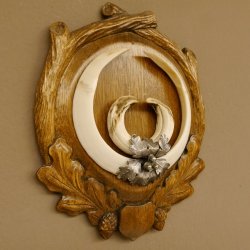 Wildschweinwaffen (Sus scrofa) Keilerwaffen max. 22,9 cm Note 1, Trophäe Keiler Gewaff Trophäenschild