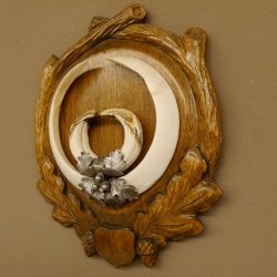 Wildschweinwaffen (Sus scrofa) Keilerwaffen max. 22,9 cm Note 1, Trophäe Keiler Gewaff Trophäenschild