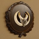 Wildschweinwaffen (Sus scrofa) Keilerwaffen max. 14 cm Trophäe Keiler Gewaff Trophäenschild