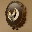 Wildschweinwaffen (Sus scrofa) Keilerwaffen max. 14 cm Trophäe Keiler Gewaff Trophäenschild